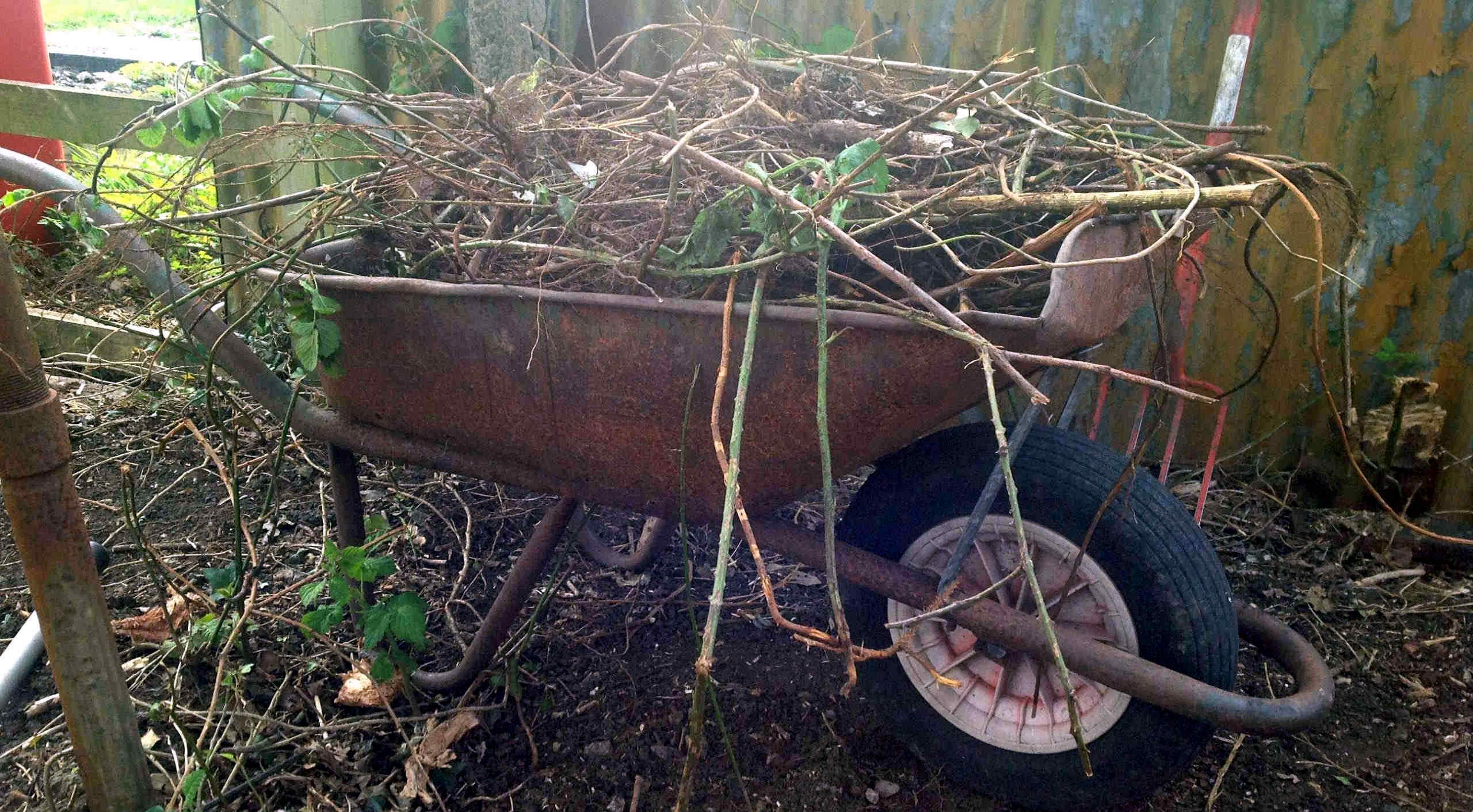 rustic image of old wheelbarrow containing garden offcuts, against a background of part fence and part corrugated metal shed wall.
